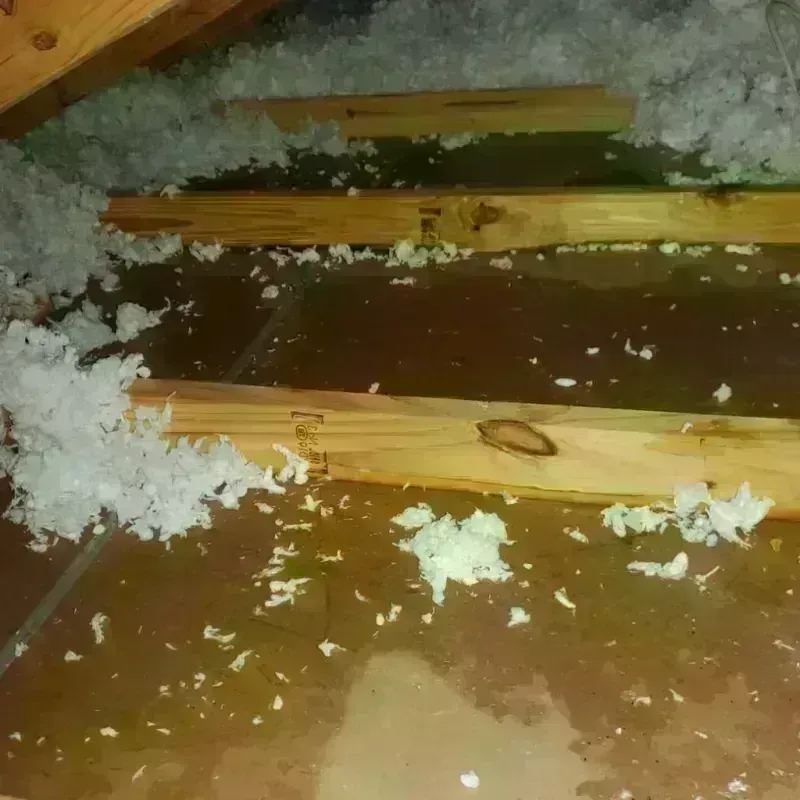 Attic Water Damage in Lakewood, NJ