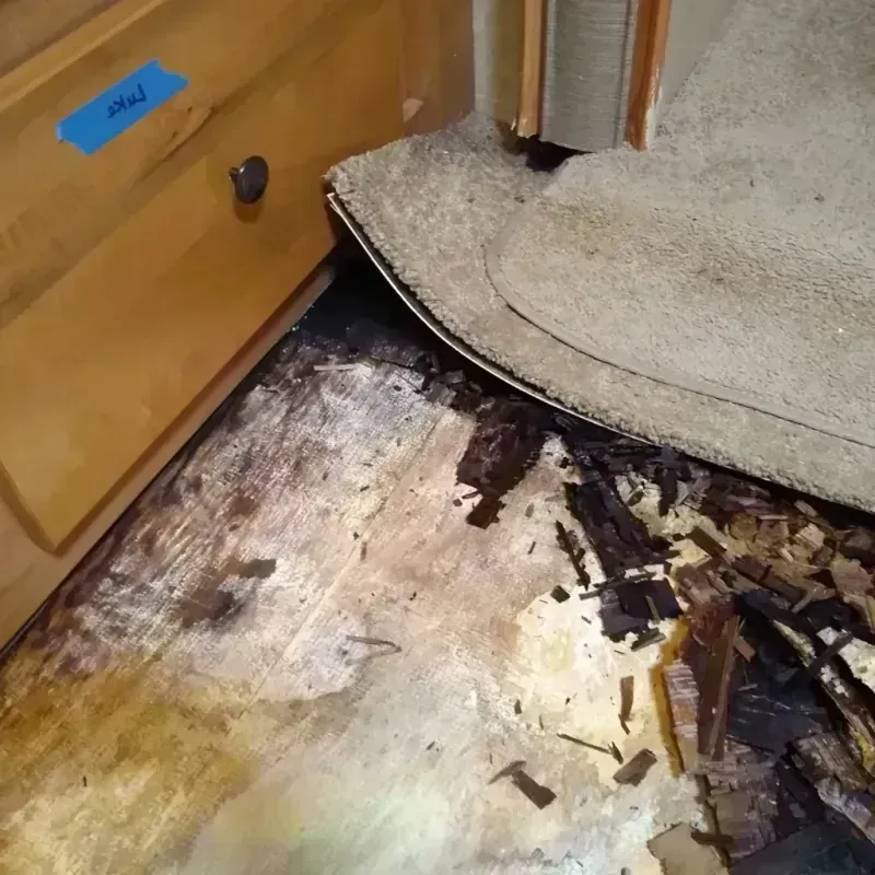 Best Wood Floor Water Damage Service in Lakewood, NJ